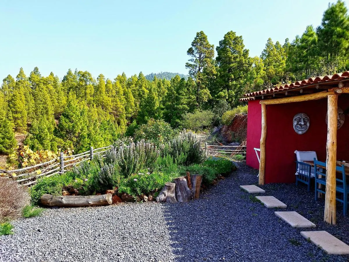 El Topo Puntagorda Ferienhaus